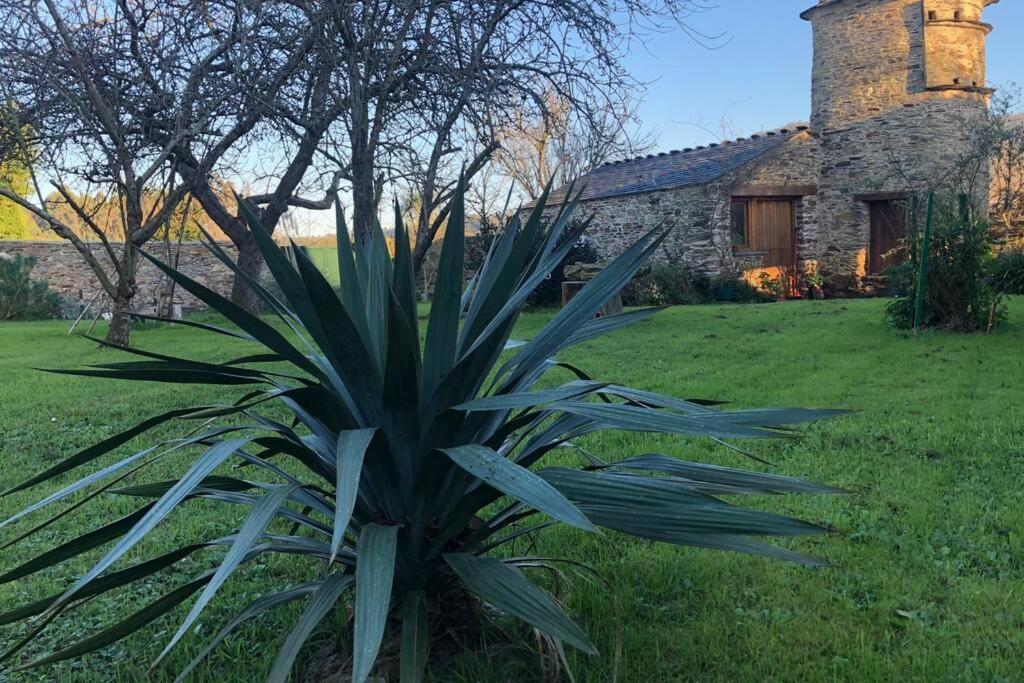 Apartamento Turistico Con Precioso Jardin - Los Gayoles Rural Castropol Bagian luar foto