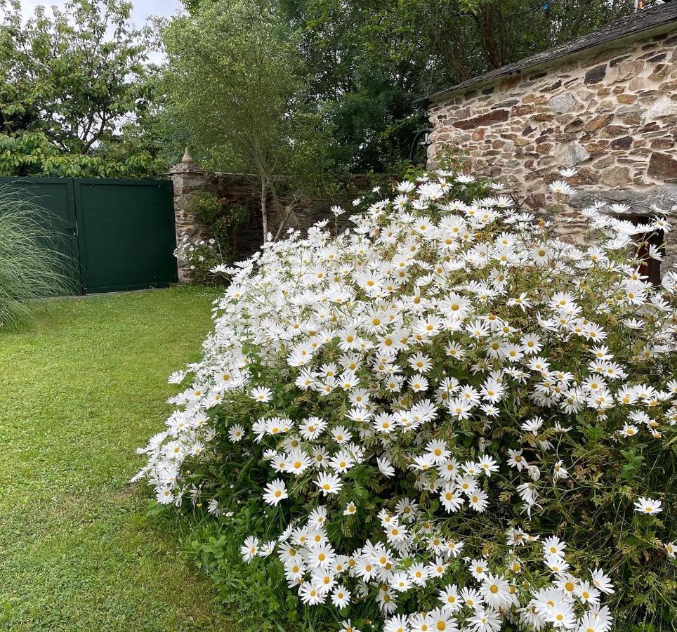 Apartamento Turistico Con Precioso Jardin - Los Gayoles Rural Castropol Bagian luar foto